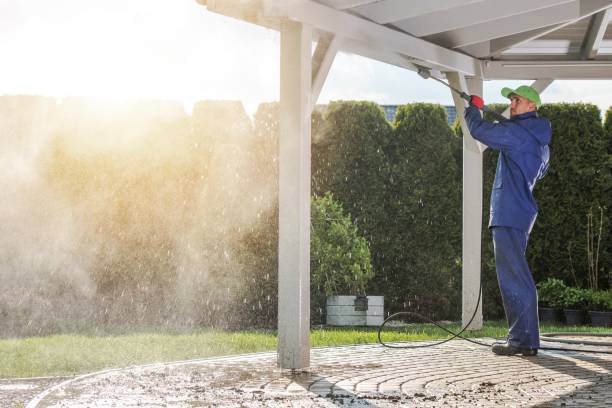 Trusted Des Plaines, IL Pressure Washing Services Experts